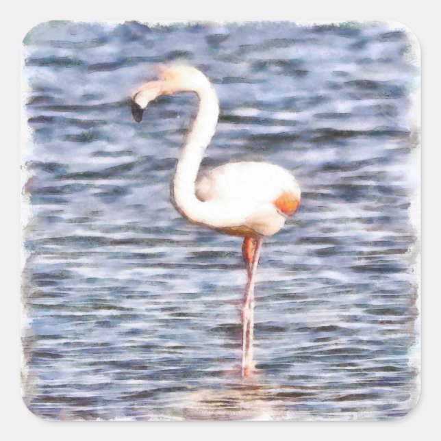 Adesivo Quadrado Wild Flamingo (Frente)
