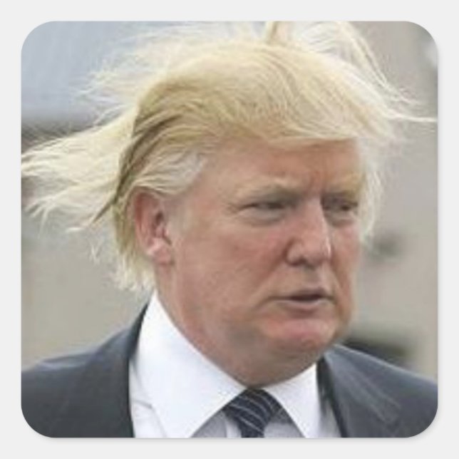 Adesivo Quadrado Wild Trump Hair (Frente)
