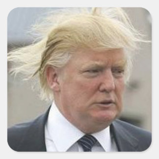 Adesivo Quadrado Wild Trump Hair
