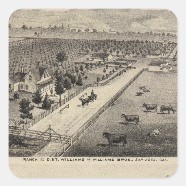 Adesivo Quadrado Williams Ranch, Goodrich Quarry (Frente)