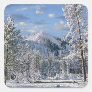 Adesivo Quadrado Winter in Yellowstone National Park, Wyoming