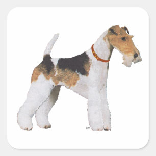 Adesivo Quadrado Wire Fox Terrier