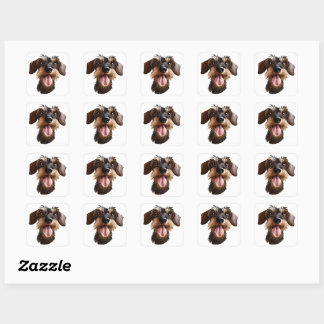 Adesivo Quadrado Wirehaired Dachshund
