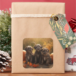 Adesivo Quadrado Wirehaired Pointing Griffon Puppy Autumn