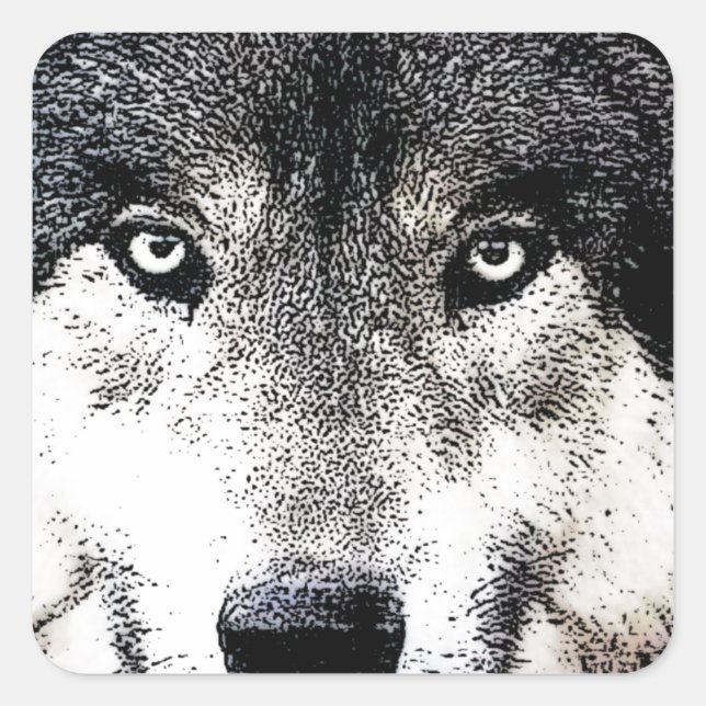 Adesivo Quadrado Wolf Eyes (Frente)
