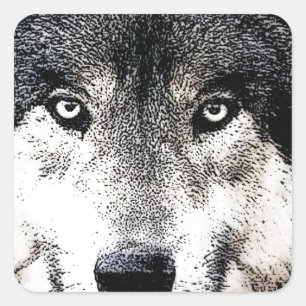 Adesivo Quadrado Wolf Eyes