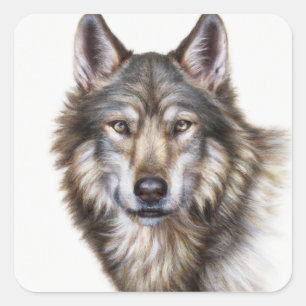 Adesivo Quadrado Wolf Square Sticker