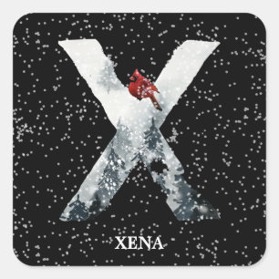 Adesivo Quadrado Wonderland de inverno - Alfabeto X Monograma Pás