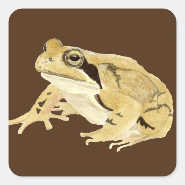 Adesivo Quadrado Wood Frog (Frente)