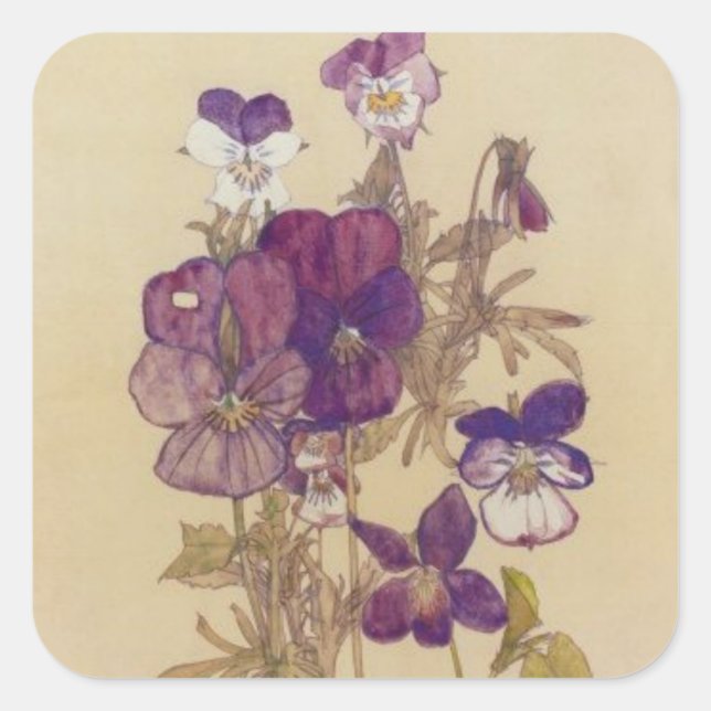 Adesivo Quadrado Wood Pansy de Charles Mackintosh (Frente)