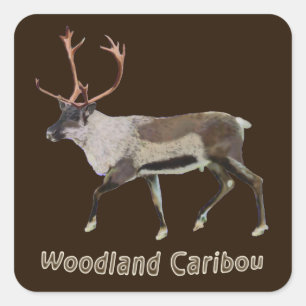 Adesivo Quadrado Woodland Cariou