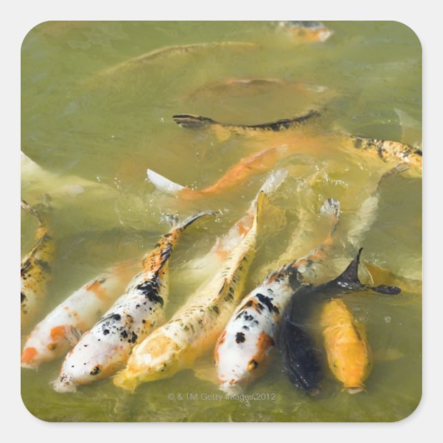 Adesivo Quadrado Xangai, China (Frente)