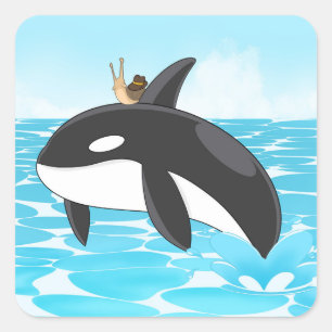 Adesivo Quadrado Yeehaw Orca