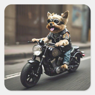 Adesivo Quadrado Yorkie Riding Motorcycle Sticker
