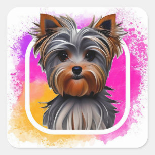 Adesivo Quadrado Yorkie, Yorkshire Terrier, Animal