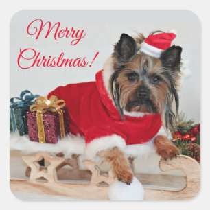 Adesivo Quadrado Yorkie Yorkshire Terrier Dog - Natal Santa Hat