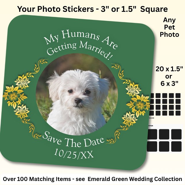 Adesivo Quadrado Your Pet Photo, Save The Date, Emerald Green (Criador carregado)