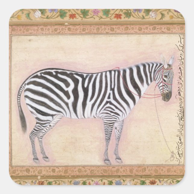 Adesivo Quadrado Zebra, do 'Álbum Minto', 1621 (guache no pa) (Frente)