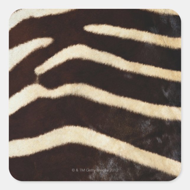 Adesivo Quadrado Zebra Hide (Frente)