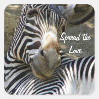 Zebra, Qualquer Ocasião_
