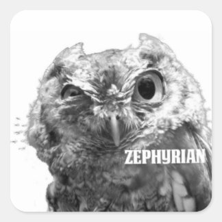Adesivo Quadrado Zephyrian Owl Stickers