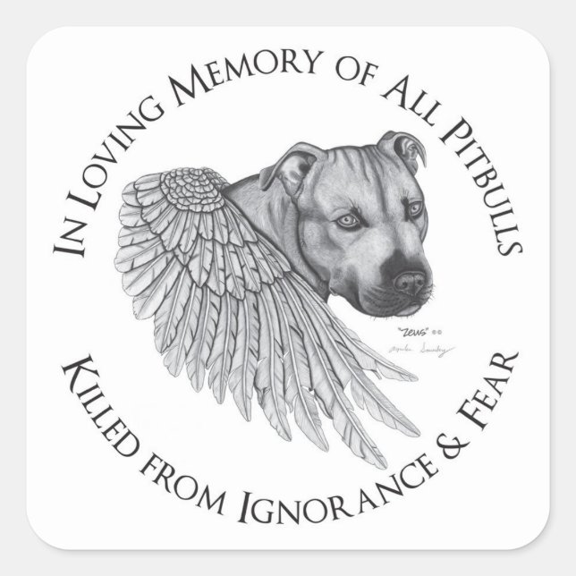 Adesivo Quadrado Zeus Angel (Frente)