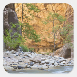 Adesivo Quadrado Zion Narrows