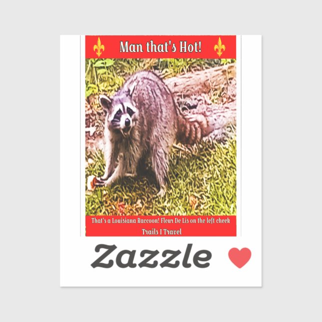 Adesivo Raccoon Com Uma Flor De Lis Sticker (Folha)