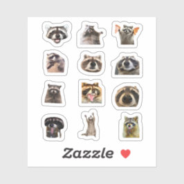 Adesivo Raccoon Meme Funny Sticker Set Bundle