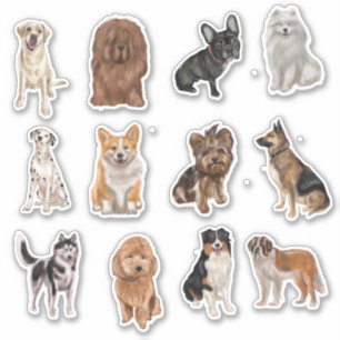 Adesivo Rações de Cães