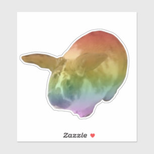 Adesivo Rainbow Paddy Sticker