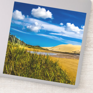 Adesivo Rápido fluxo perto de 90 Mile Beach, Nova Zelând