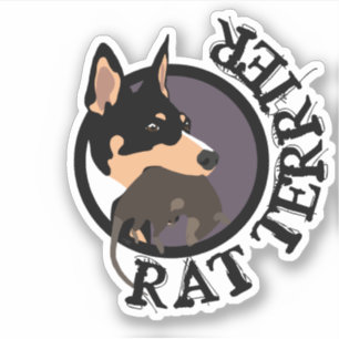 Adesivo Rat terrier