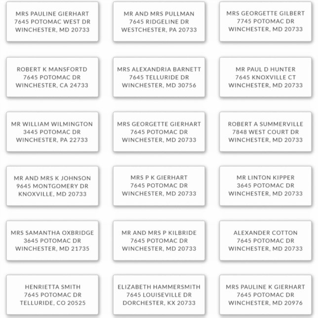 Adesivo Recipient Name 18 Shipping Large Address Labels (Frente)