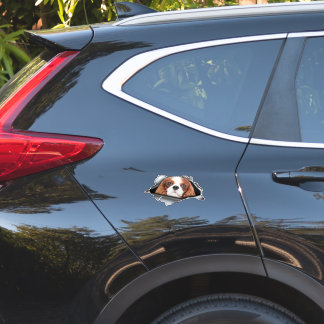 Adesivo Red Cavalier King car decal, Red Cavalier King
