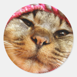 ADESIVO REDONDO ピンク帽子のチャド