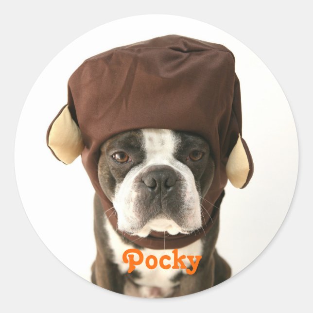 ADESIVO REDONDO モンキー1 (Frente)