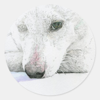 ADESIVO REDONDO 白柴犬シール