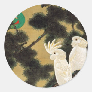 Adesivo Redondo 12. 老 松 鸚 図, 若 Pine-tree e Parrot, Jakuchu