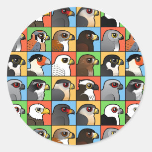 Adesivo Redondo 16 perfis norte-americanos do raptor (telhados)