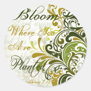 Adesivo Redondo 1 núcleo 7 arte de 17 escrituras