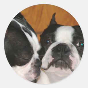 Adesivo Redondo 2009-Cover