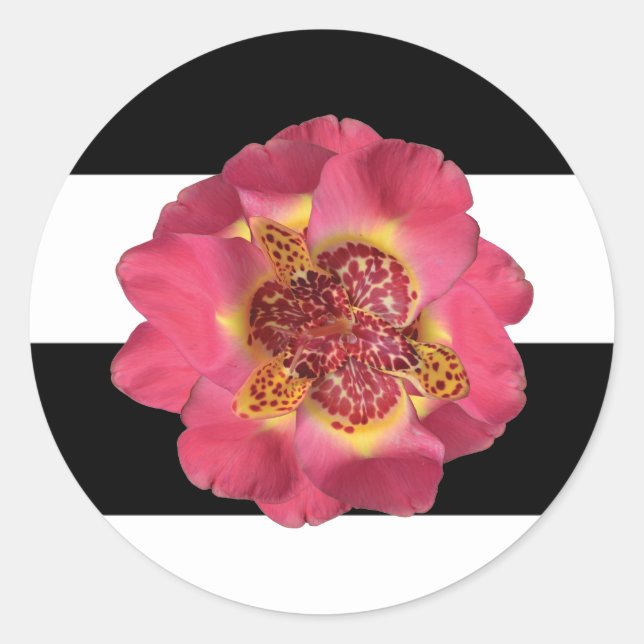 Adesivo Redondo 20 - 1,5 Envelope Seal Moderno Stripe Preto (Frente)