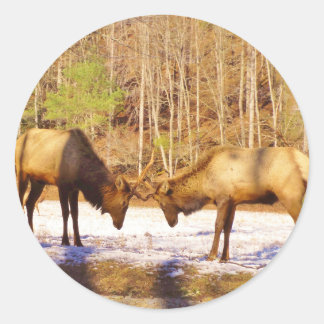 Adesivo Redondo 2~ 2 Bull Elk na neve