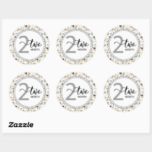 Adesivo Redondo 2 meses Milestone Baby Girafes and Balloons