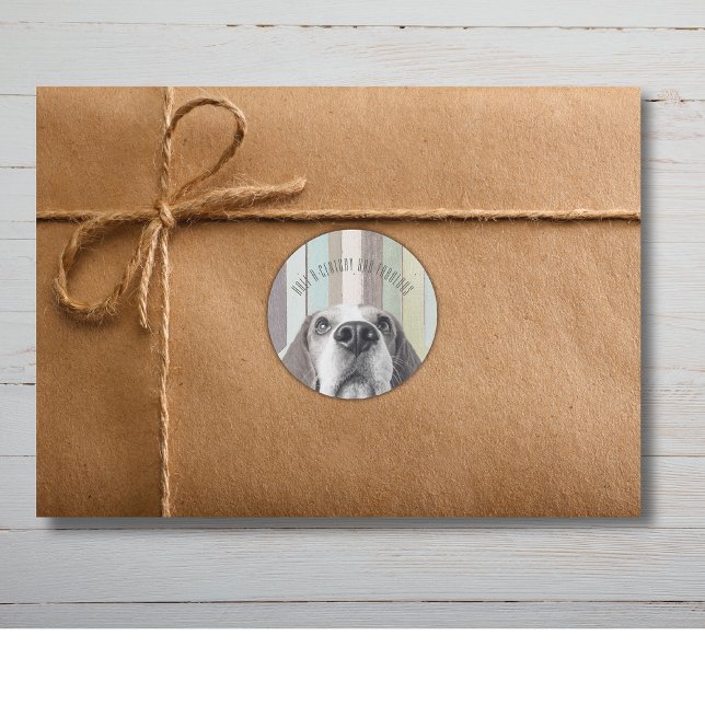 Adesivo Redondo 50º Semestre e Fabuloso Aniversário ("Half a Century and Fabulous"!
This collection is perfect for your next 50th birthday celebration!)