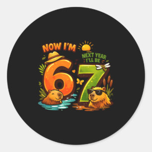 Adesivo Redondo 6 no próximo ano serei 7 capivara 67 aniversário m