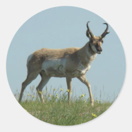 Adesivo Redondo A10 Pronghorn Antelope Walking Jogou Flores Selvag