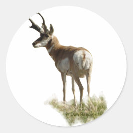 Adesivo Redondo A43 Pronghorn Antelope Buck
