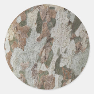 Adesivo Redondo A camuflagem da árvore planificada parece um padrã